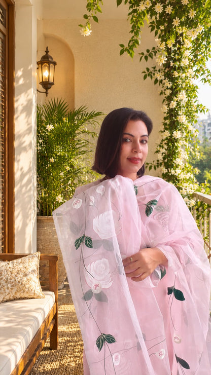 Mehak Brush painted suits